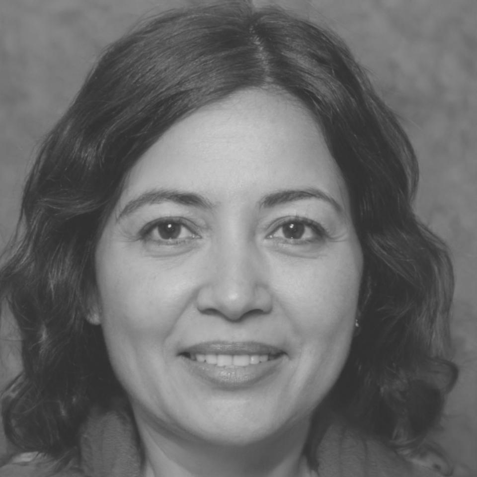Professoressa Camelia Torriani